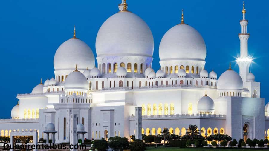 Abu Dhabi: Private Car and Driver for 8 Hours City Tour - Price per car: good value for a full group