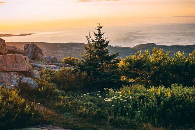 Acadia Cadillac Mountain Sunrise Half Day Private Tour & Hike - Why Cadillac Mountain makes an excellent first stop