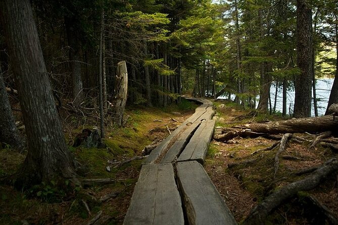 Acadia Cadillac Mountain Sunrise Half Day Private Tour & Hike - Coffee, snacks, and a useful breakfast stop