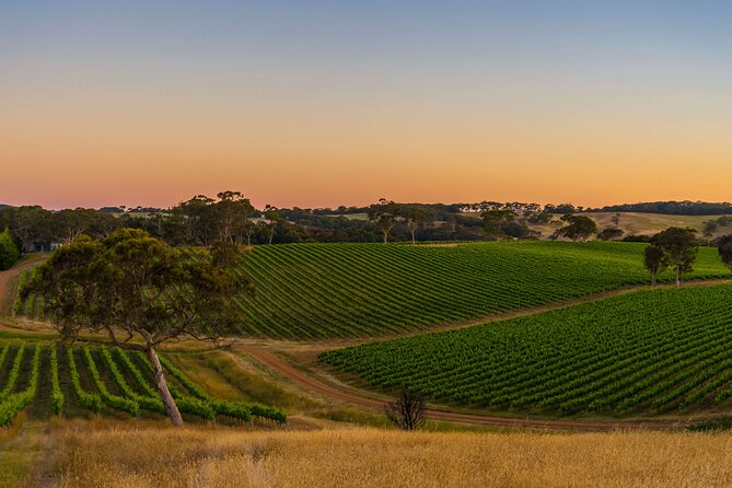 Adelaide's Ultimate Chauffeur Airport Arrival Experience - When the service earns its keep
