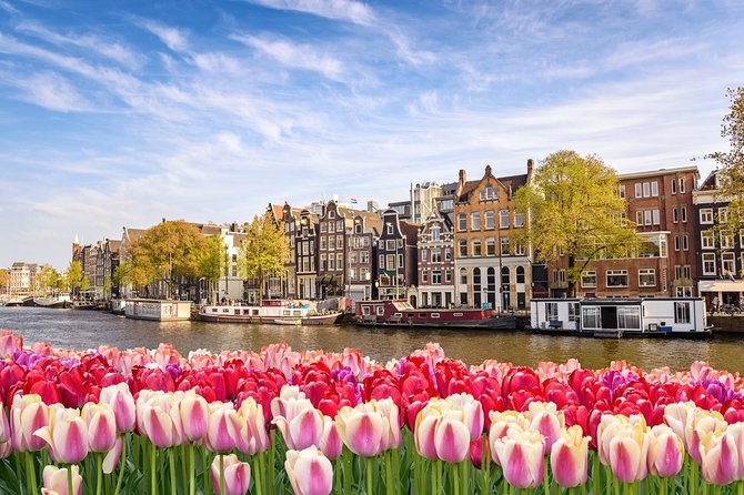 Airport Transfer: Schiphol Airport AMS to Amsterdam by Luxury Van - Why families and groups get the best value