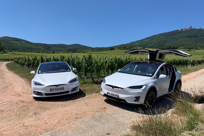 Alsace Private Tailored Tour in a Luxury Car - Riquewihr, Colmar, and the storybook villages