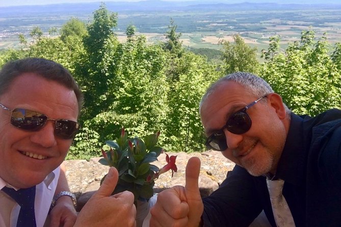 Alsace Private Tailored Tour in a Luxury Car - Who should book this Alsace tour?