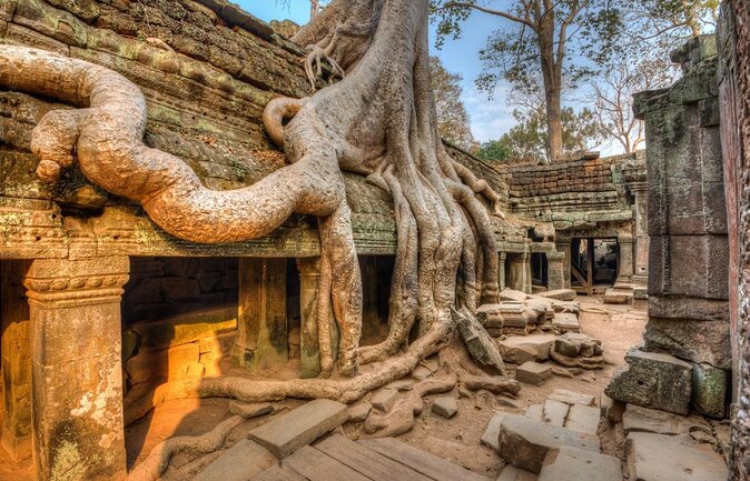 Angkor Wat Private Driver Tours to Angkor Wat Sunrise, Angkor Thom & Ta Prohm - Key points to know before booking