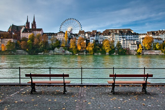 Arrival Private Transfer: EuroAirport (BSL MLH EAP) to Basel in Luxury Van - Why the luggage help matters