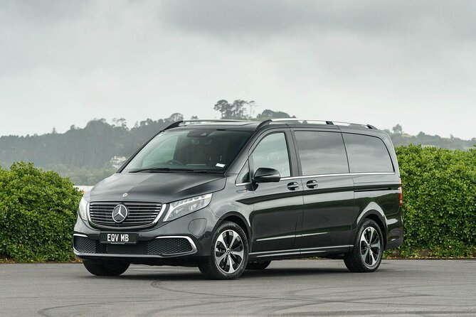 Arrival Private Transfer from Bergen Airport BGO to Bergen by luxury minivan - Key points to know before booking