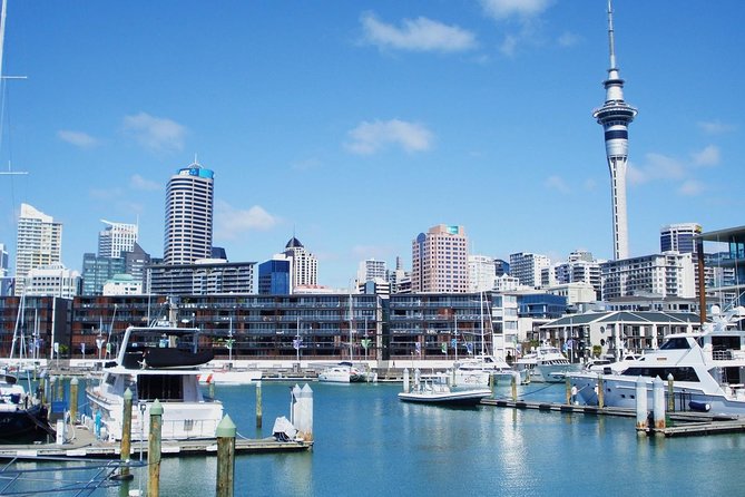 Auckland City Private Tour for Couples. Be chauffeur driven with added extras. - Westhaven and the Harbour Bridge show Auckland at work