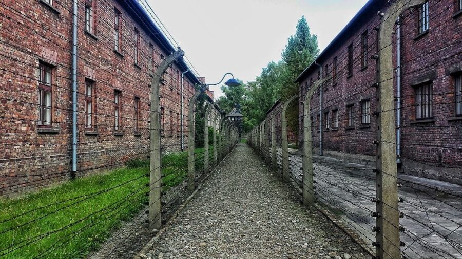 Auschwitz-Birkenau and Krakow Private Car Trip from Katowice - Should you book this Auschwitz and Krakow trip?