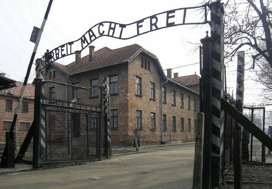 Auschwitz-Birkenau and Krakow Private Car Trip from Katowice - Birkenau reveals the scale