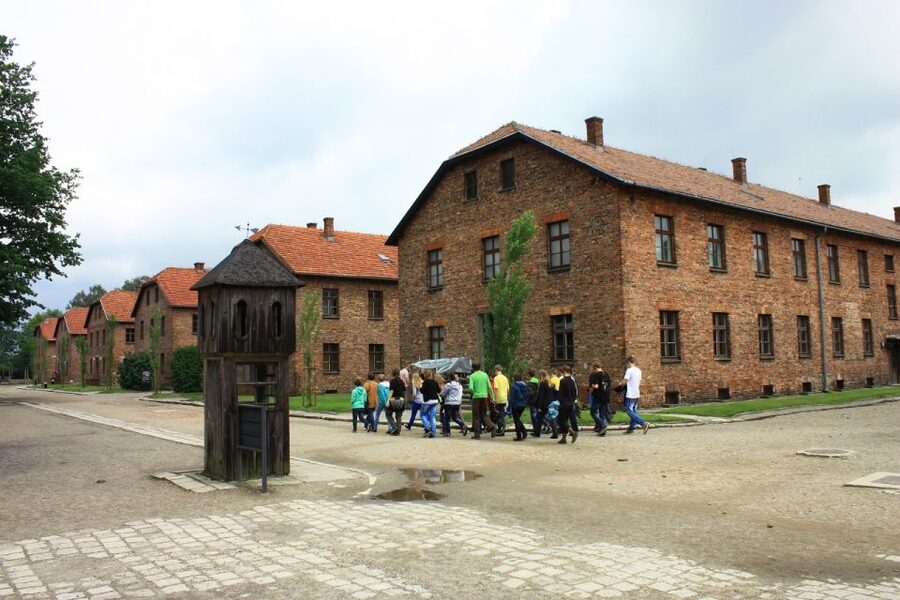Auschwitz-Birkenau and Krakow Private Car Trip from Katowice - Accessibility and comfort details