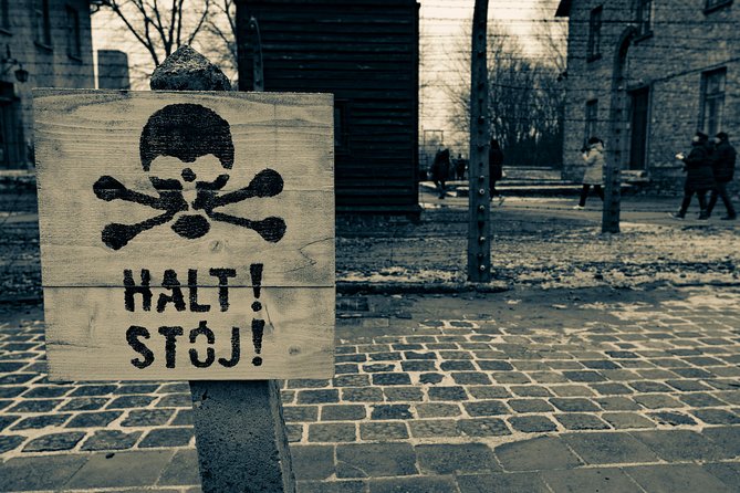 Auschwitz-Birkenau and Wieliczka Salt Mine Day Tour from Krakow with private car - Who should book this tour