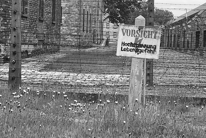 Auschwitz-Birkenau guided tour from Krakow - private car - Who should book this Auschwitz-Birkenau tour?