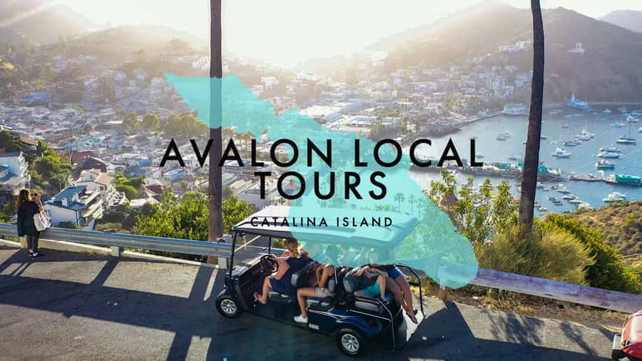 Avalon: Private Golf Cart Tour with Driver-Guide - What You See During the Two-Hour Route