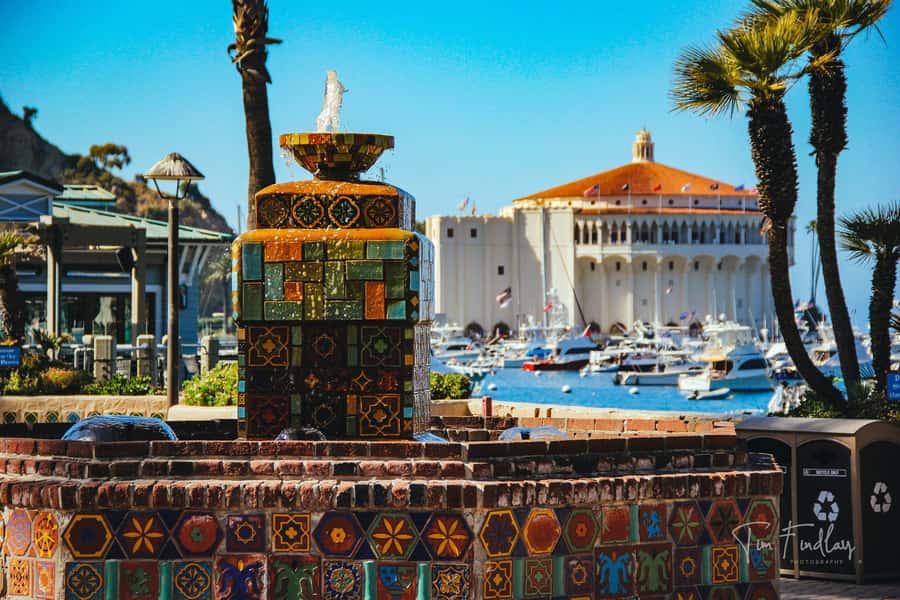 Avalon: Private Golf Cart Tour with Driver-Guide - The Private Cart and Riding Experience