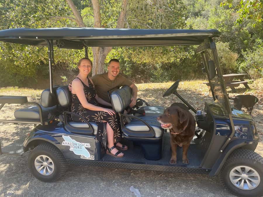 Avalon: Private Golf Cart Tour with Driver-Guide - How Much Value Do You Get for $137?