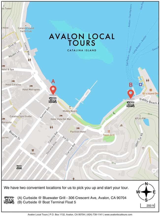 Avalon: Private Golf Cart Tour with Driver-Guide - Who Will Get the Most from This Tour?