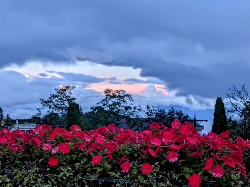 Ba Na Hills & Golden Bridge Private Car from Hoi An/Da Nang - Tips for Making the Day Work Better