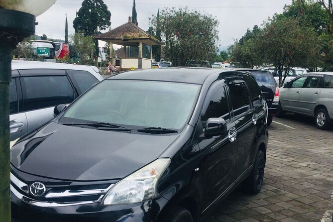 Bali Car Hire with Driver - Price and practical value at $31.12 per person