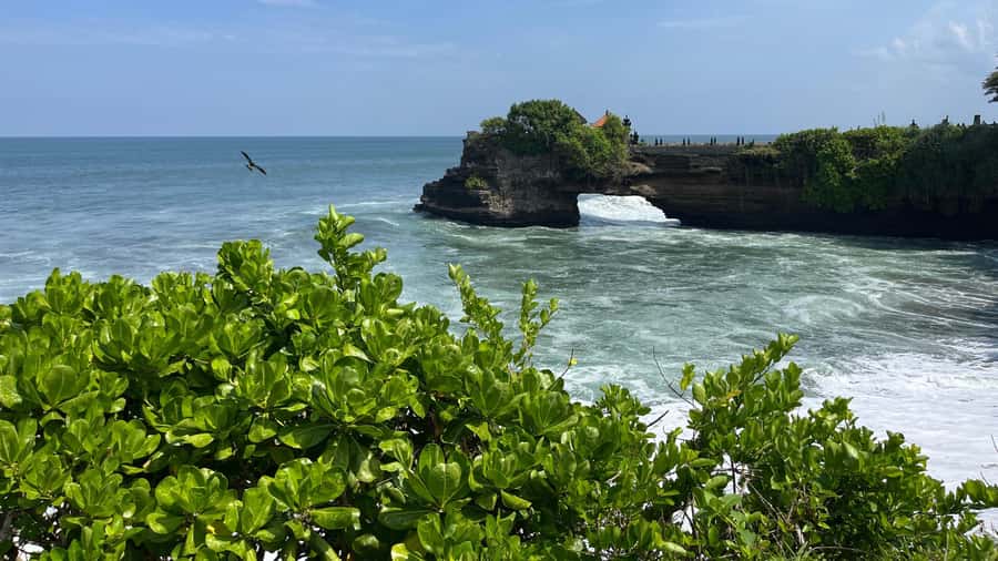 Bali: Customise your Bali Tour with Driver-Guide - Key points to know before booking