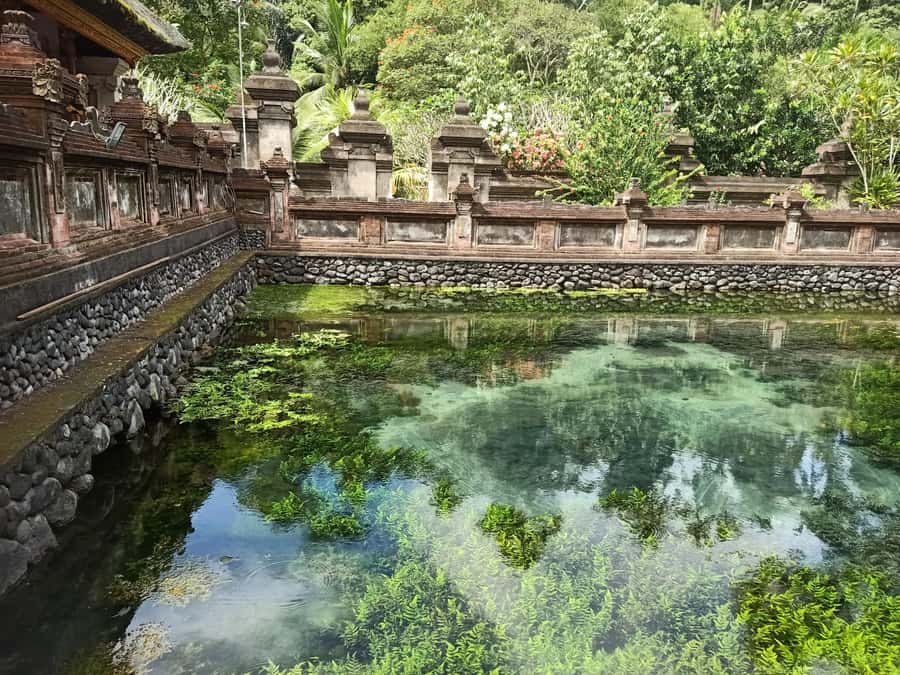 Bali: Customize Private Day Tour with Driver-Guide - Key points to know before booking