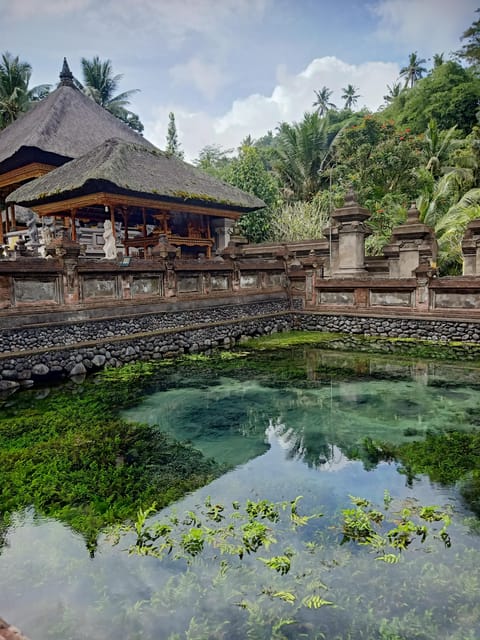 Bali: Customize Private Day Tour with Driver-Guide - Adding rafting, ATV riding, or a swing