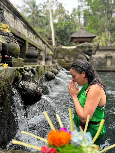 Bali: Customize Private Day Tour with Driver-Guide - What the guide service adds