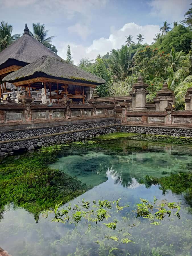 Bali: Customize Private Day Tour with Driver-Guide - What the car, guide, and price provide