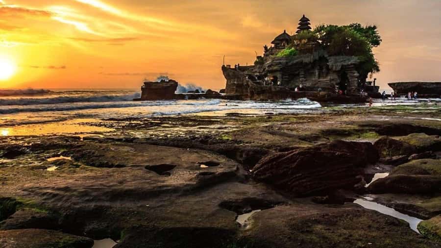 Bali: Customized Private Car Charter with Optional Guide - Key points to know before booking