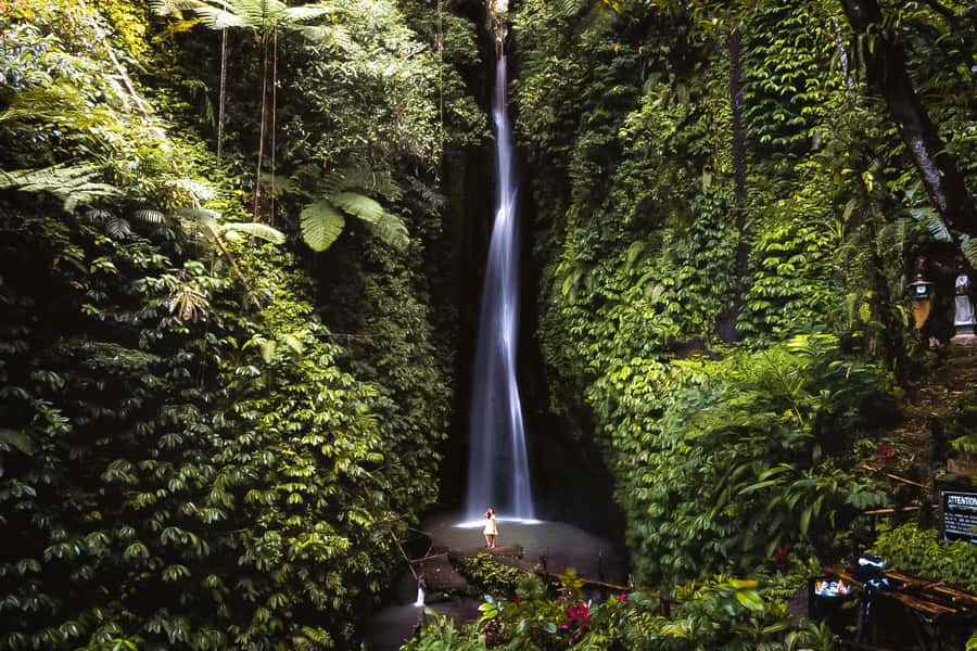 Bali: Customized Private Car Charter with Optional Guide - Building a practical Ubud itinerary