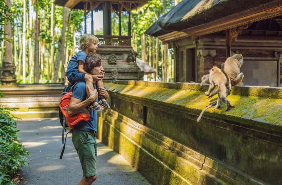 Bali: Customized Private Car Charter with Optional Guide - Mount Batur and Kintamani need a full-day plan