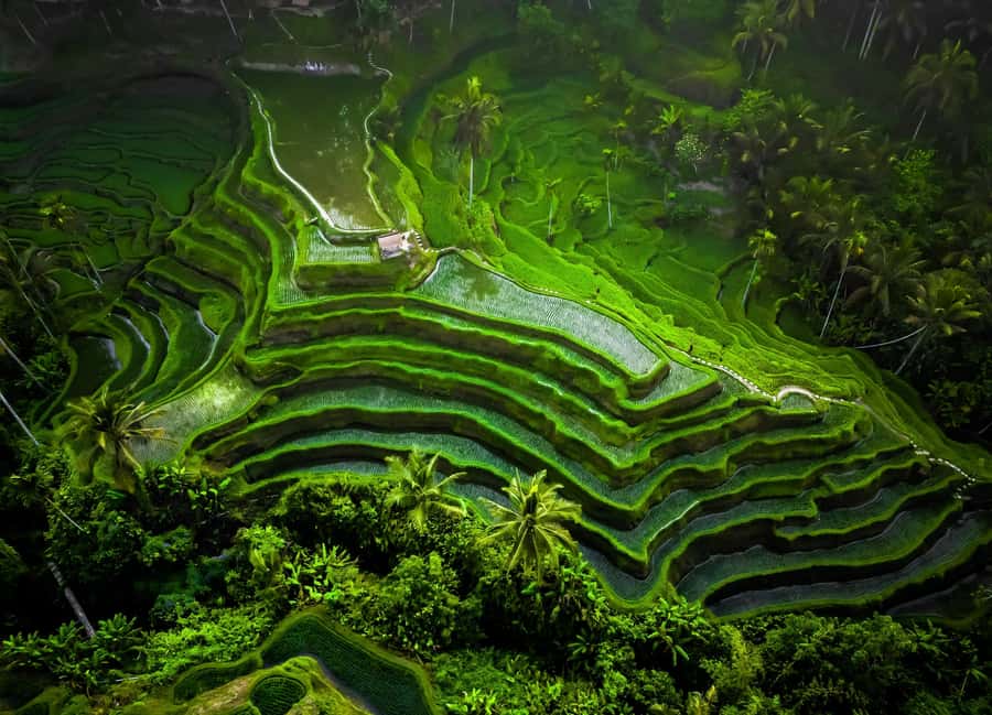 Bali: Customized Private Car Charter with Optional Guide - Handling traffic, timing, and extra costs