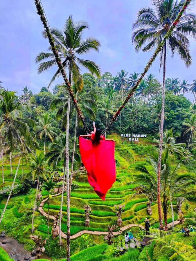 Bali : Design Your Customize Trip with Private Driver - Key points to know before booking