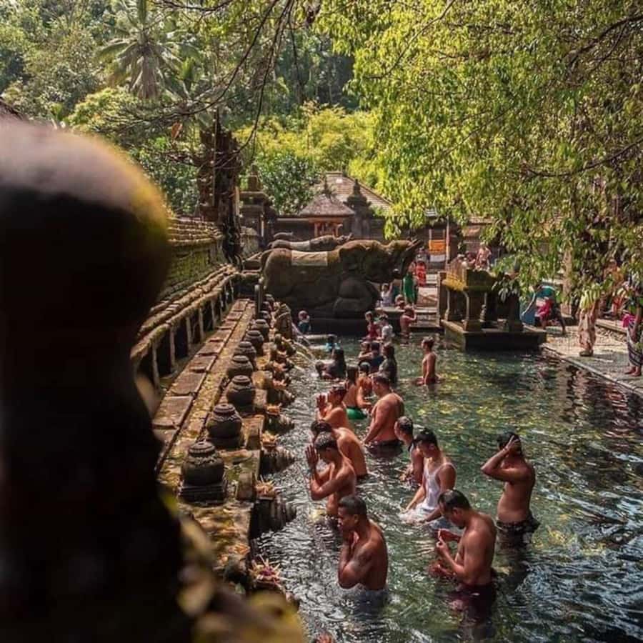 Bali : Design Your Customize Trip with Private Driver - The personal service and driver experience