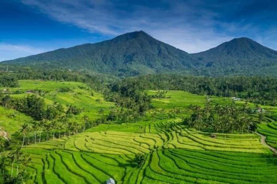 Bali : Design Your Customize Trip with Private Driver - A Bali tour that lets you change the plan