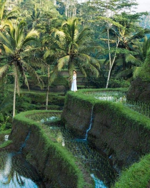 Bali : Design Your Customize Trip with Private Driver - Waterfall days around Ubud