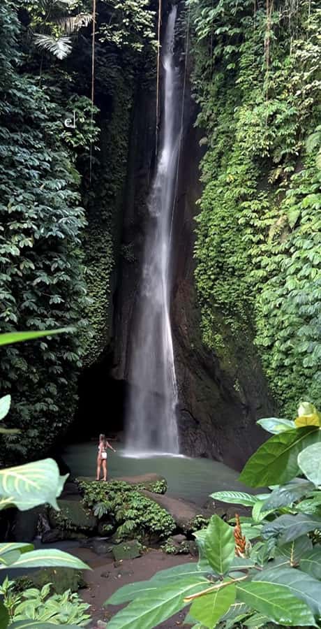 Bali: Green and Heritage West Trip Private Tour, Luxury Car - Coffee and tea make a useful half-hour break