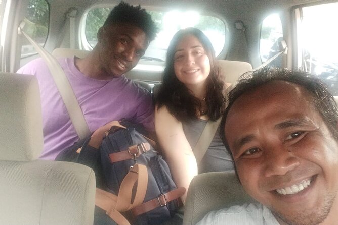 Bali Private Car and Driver – Explore the Island Your Way - Is $61 good value for four people?