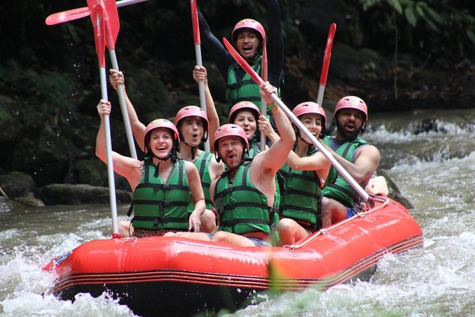 Bali Private Car Charter Tour with English Speaking Driver - A private Bali day built around your interests