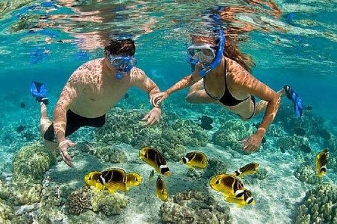 Bali Private Car Charter Tour with English Speaking Driver - Kintamani, Mount Batur, and Lake Batur