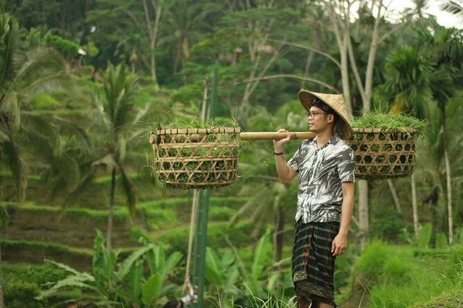 Bali Private Car Charter Tour with English Speaking Driver - What the $9 price really covers