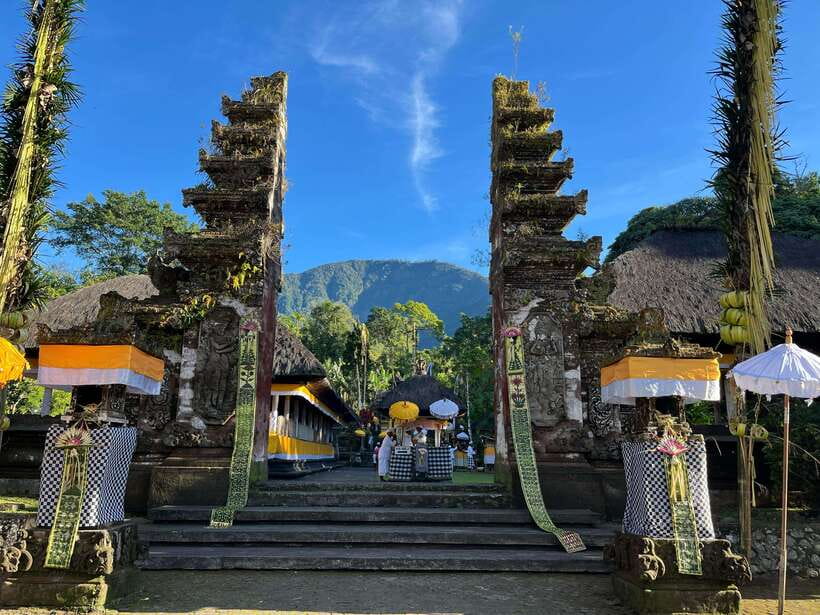 Bali: Private Car Charter with English's speaking driver - Ubud for culture, scenery, and an easier-going day