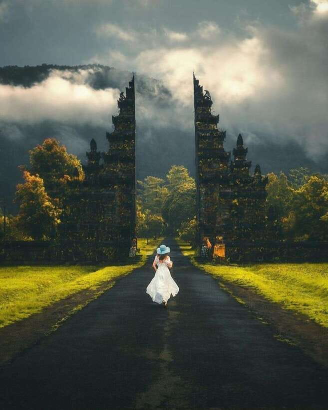 Bali: Private Car Charter with English's speaking driver - North Bali for waterfalls and cooler scenery