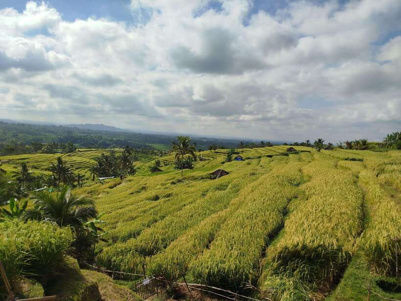 Bali: Private Car Charter with English's speaking driver - What to pack for a mixed sightseeing day