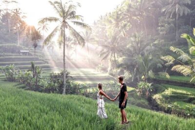 Bali Private Car Charter with English Speaking Driver Or Guide
