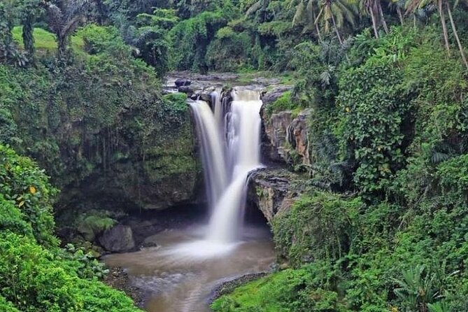 Bali Private Car Charter with English Speaking Driver Or Guide - Is this Bali private car charter worth booking?