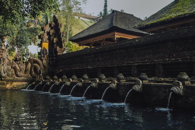 Bali Private Car Full Day Customized Tour With Drone Service - Why the private format matters in Bali