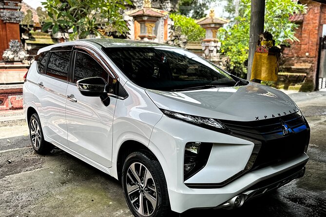 Bali Private Car Full Day Customized Tour With Drone Service - Ubud’s temples, markets, and monkey forest