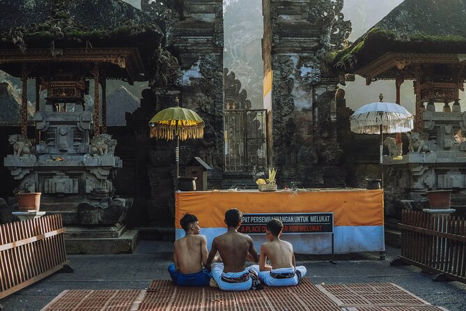 Bali Private Car Full Day Customized Tour With Drone Service - Rice terraces and mountain views