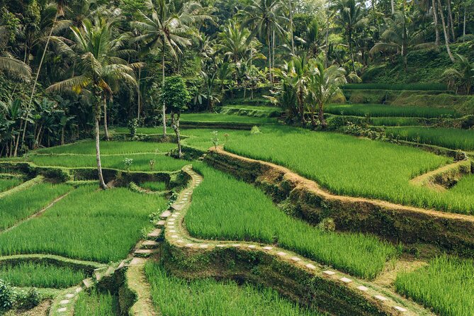 Bali Private Car Full Day Customized Tour With Drone Service - What the photography service adds