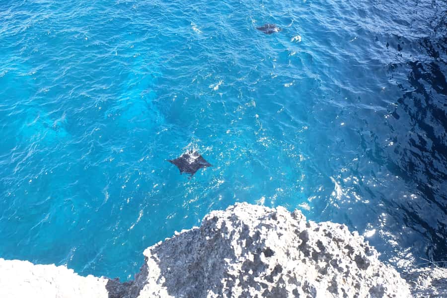 Bali: Private Car with Driver in Nusa Penida - What the $54 price includes